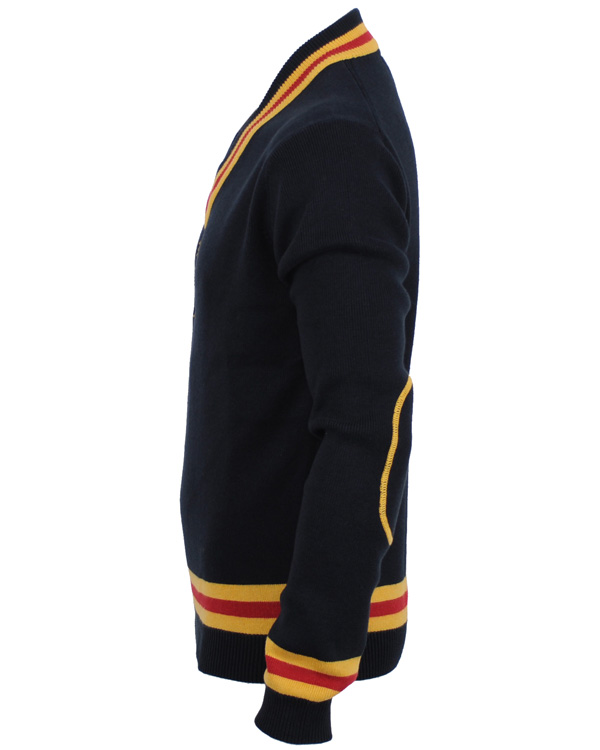 Heren | Truien | Morris | Cricket embo V-neck Navy