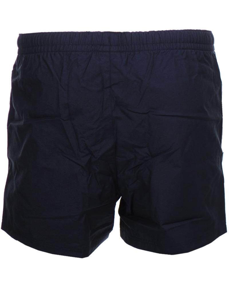 Homme | Shorts | Lacoste | Swim Shorts Marine
