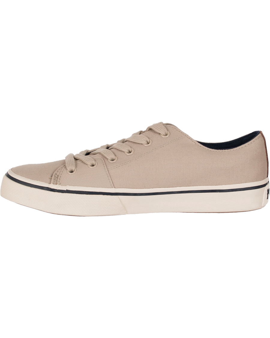 Homme | Polo Ralph Lauren Cantor Low-NE Sneaker Stone Grey | Polo Ralph Lauren | Cantor Low-NE Sneaker Stone Grey