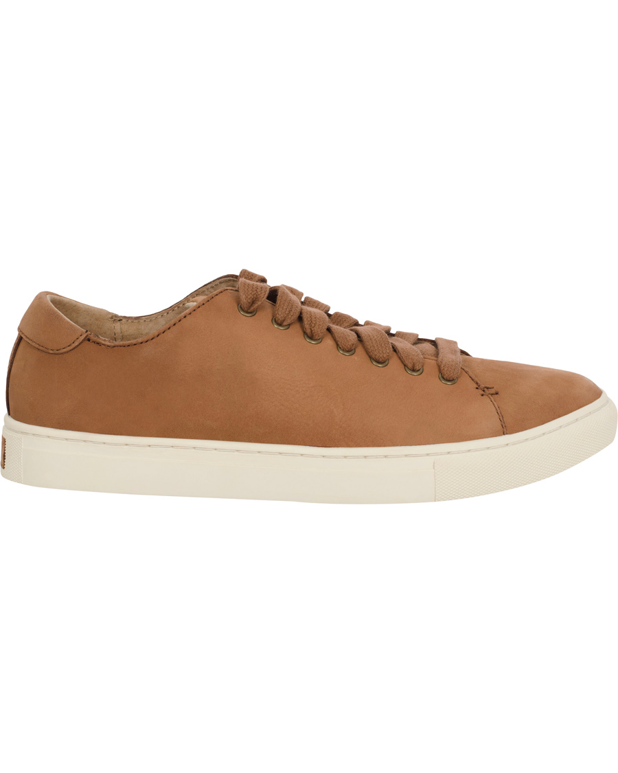 Heren | Polo Ralph Lauren Jermain Sneaker Polo Tan | Polo Ralph Lauren | Jermain Sneaker Polo Tan