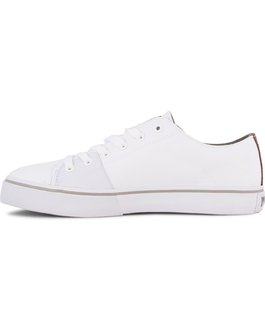 Homme | Polo Ralph Lauren Cantor Low Sneaker Pure White | Polo Ralph Lauren | Cantor Low Sneaker Pure White