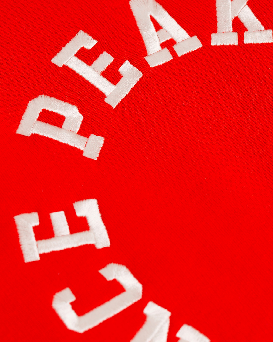 Heren | Truien | Peak Performance | Logo Hoodie Racing Red