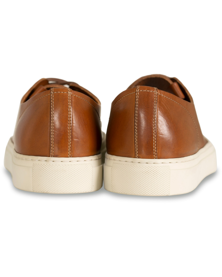 Heren | Buttero Calf Sneaker Congac | Buttero | Calf Sneaker Congac
