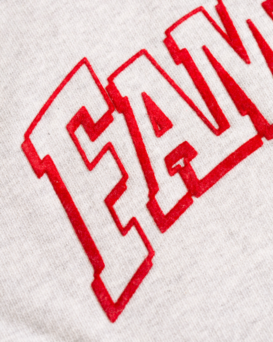 Homme | Pulls Et Tricots | AMI | Family Flocked Print Hoodie Heather Grey