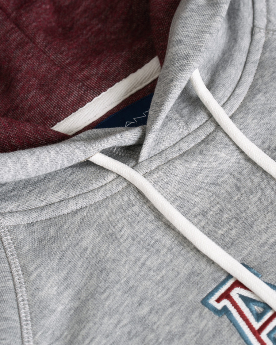 Homme | Pulls Et Tricots | GANT | Graphic Sweat Hoodie Grey Melange