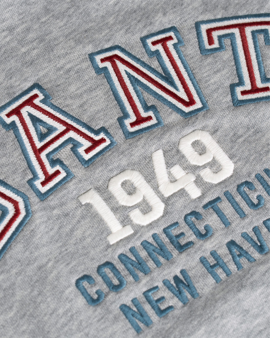 Homme | Pulls Et Tricots | GANT | Graphic Sweat Hoodie Grey Melange