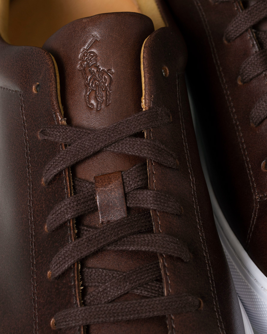 Homme | Polo Ralph Lauren Jermain II Sneaker Brown | Polo Ralph Lauren | Jermain II Sneaker Brown
