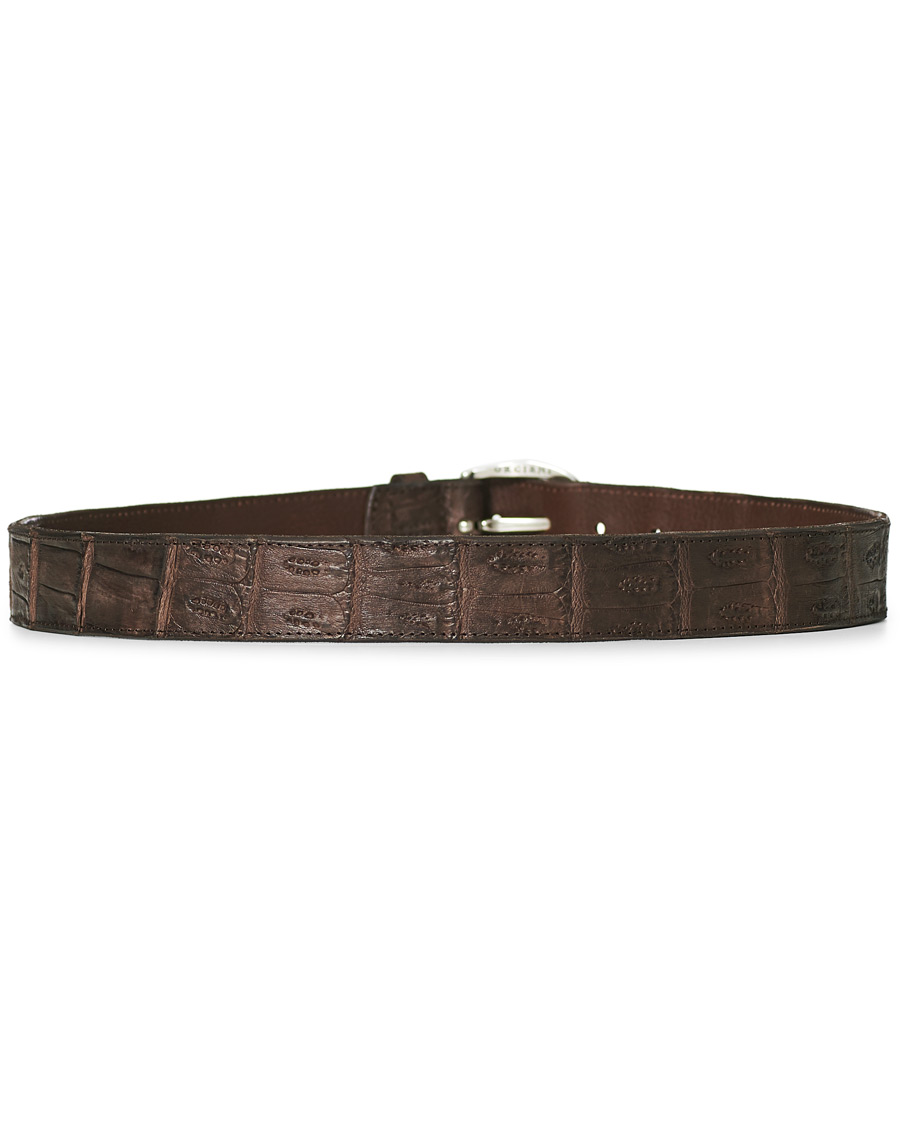 Homme | Orciani Crocodile Belt 3,5 cm Dark Brown | Orciani | Crocodile Belt 3,5 cm Dark Brown