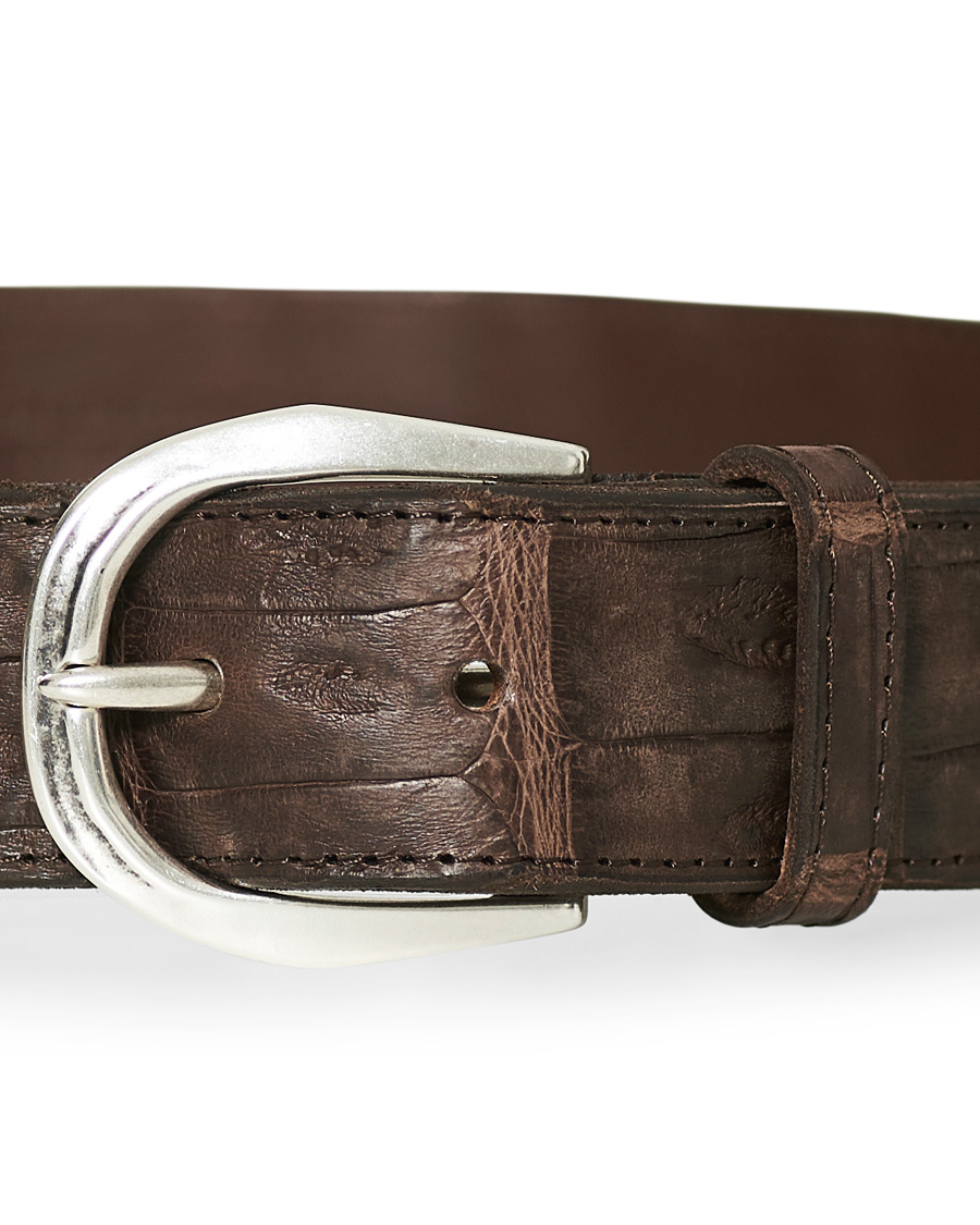Homme | Orciani Crocodile Belt 3,5 cm Dark Brown | Orciani | Crocodile Belt 3,5 cm Dark Brown