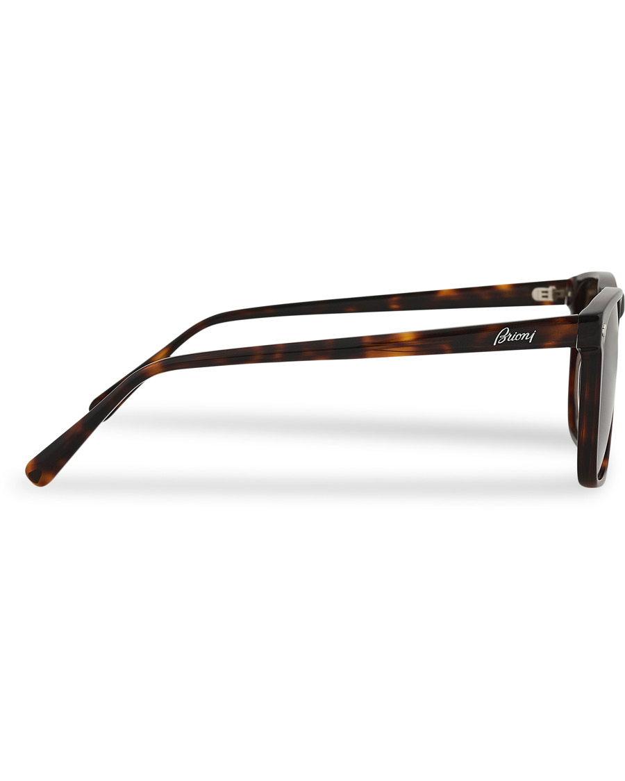 Homme | Brioni BR0086S Sunglasses Havana/Brown | Brioni | BR0086S Sunglasses Havana/Brown