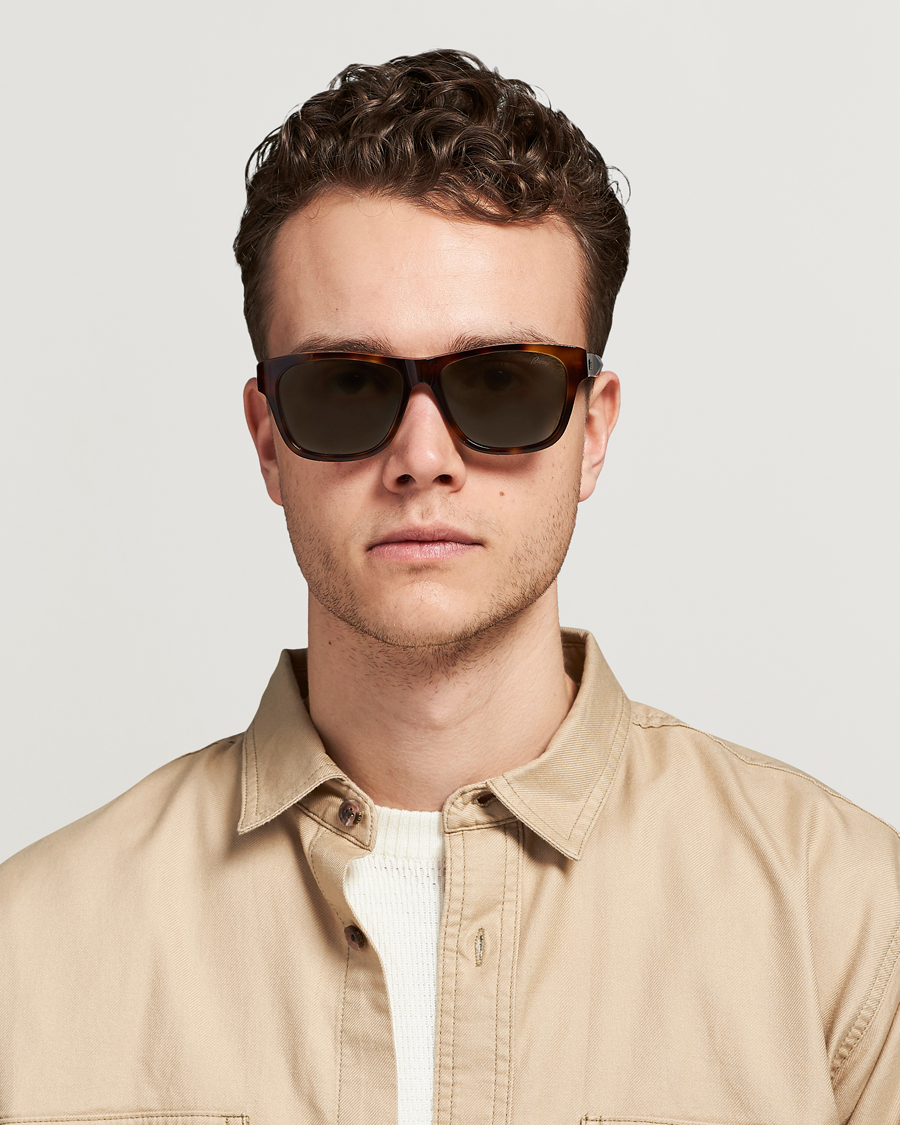 Homme | Brioni BR0081S Sunglasses Havana/Green | Brioni | BR0081S Sunglasses Havana/Green