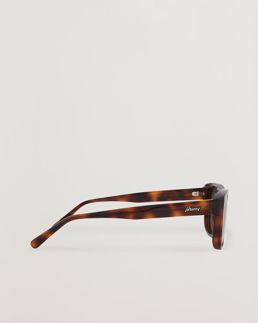 Homme | Brioni BR0081S Sunglasses Havana/Green | Brioni | BR0081S Sunglasses Havana/Green