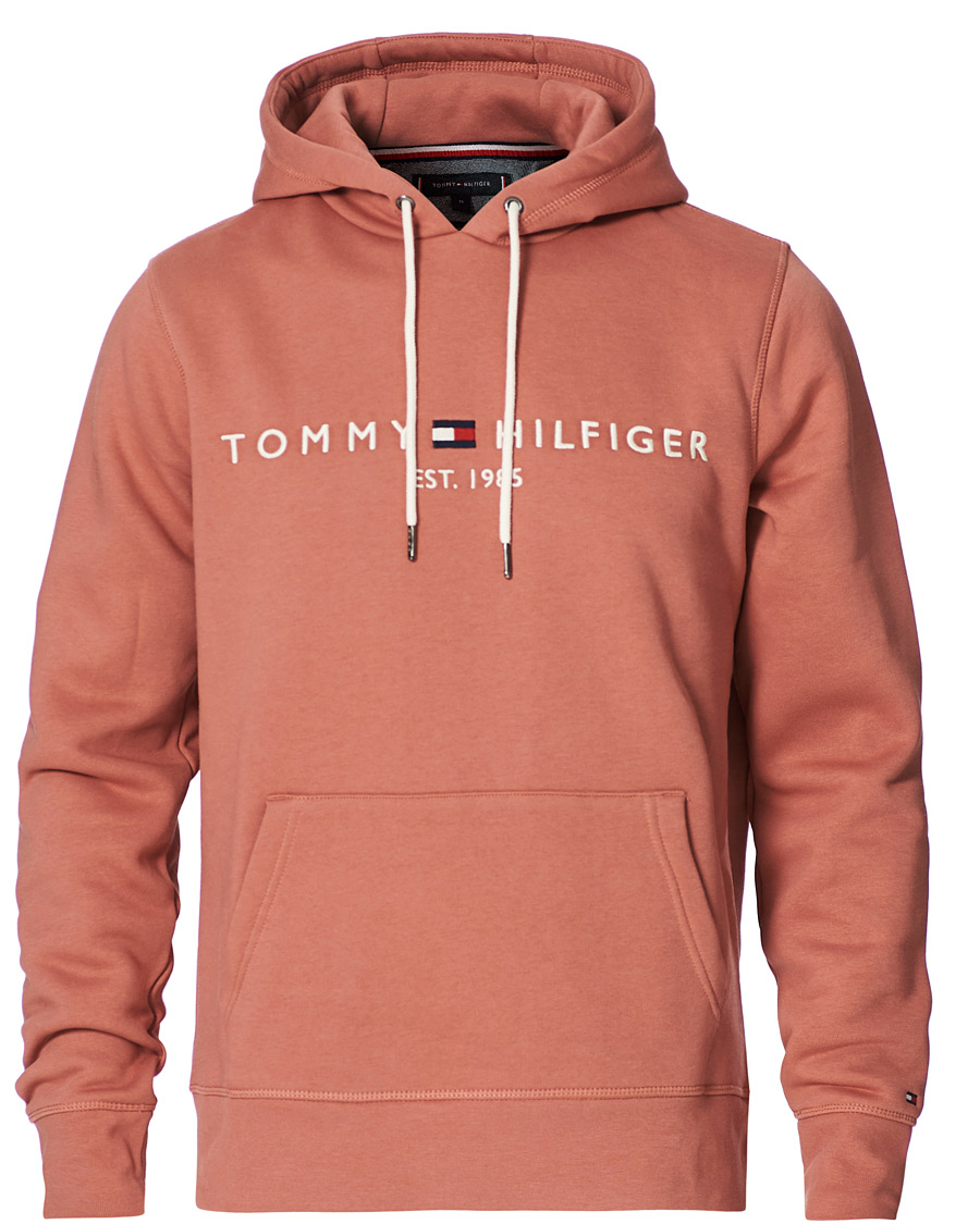 Homme | Pulls Et Tricots | Tommy Hilfiger | Logo Hoodie Mineralize