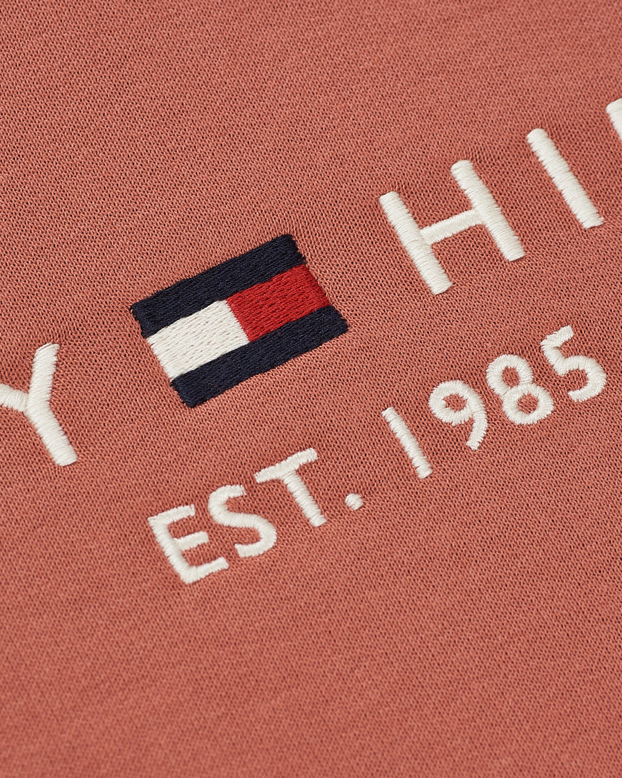Homme | Pulls Et Tricots | Tommy Hilfiger | Logo Hoodie Mineralize