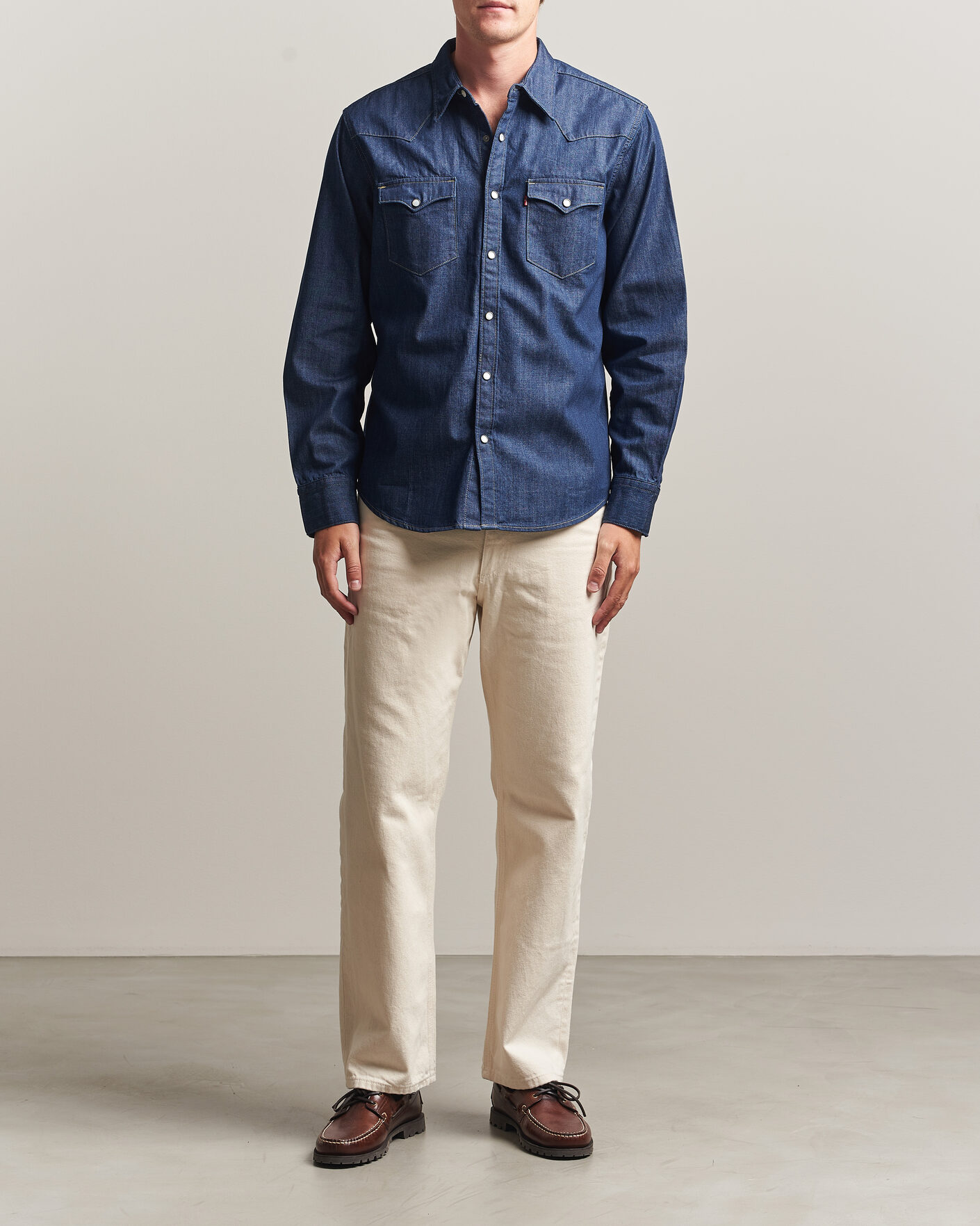 Homme | Chemises | Levi's | Barstow Western Standard Shirt Rinse Marbled