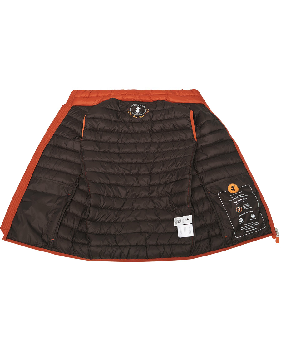 Homme | Manteaux Et Vestes | Save The Duck | Adam Lightweight Padded Vest Ginger Orange