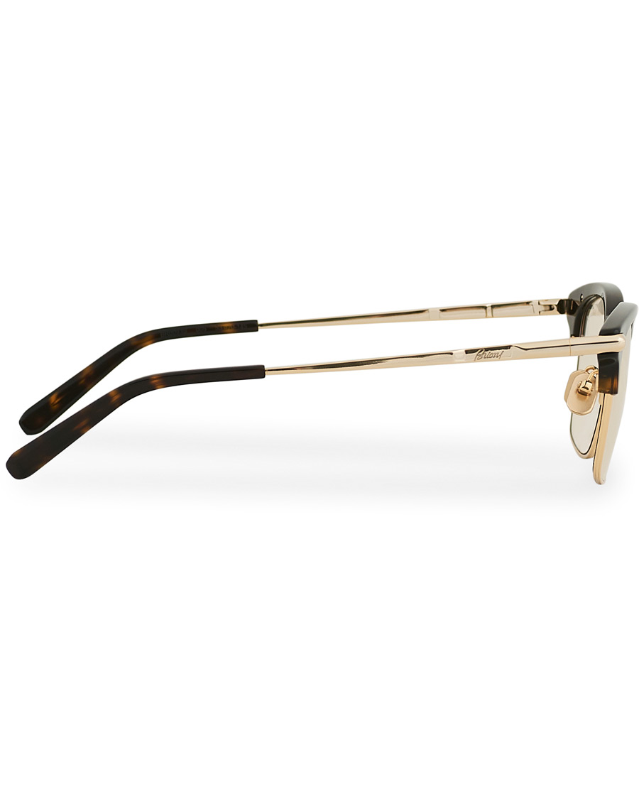 Homme | Brioni BR0093S Sunglasses Havana Gold | Brioni | BR0093S Sunglasses Havana Gold
