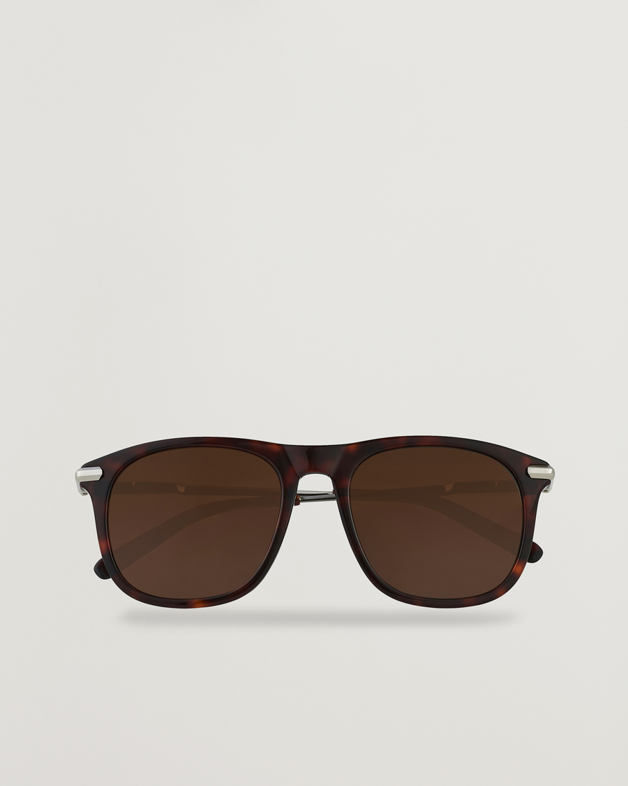 Heren | Brioni BR0094S Sunglasses Havana Brown | Brioni | BR0094S Sunglasses Havana Brown