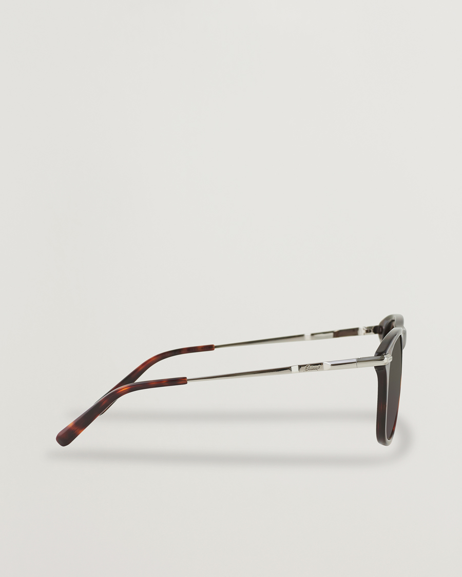 Heren | Brioni BR0094S Sunglasses Havana Brown | Brioni | BR0094S Sunglasses Havana Brown