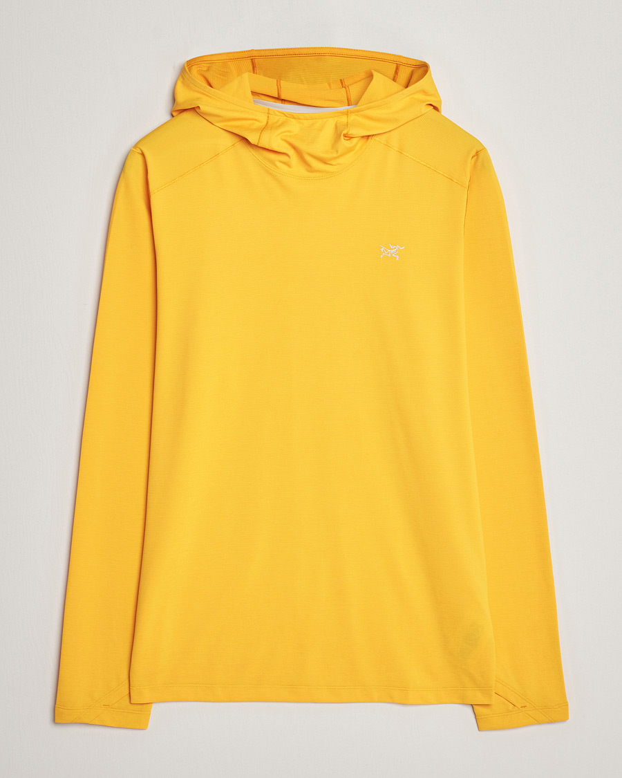 Homme | Pulls Et Tricots | Arc'teryx | Cormac Hoodie Edziza Heather