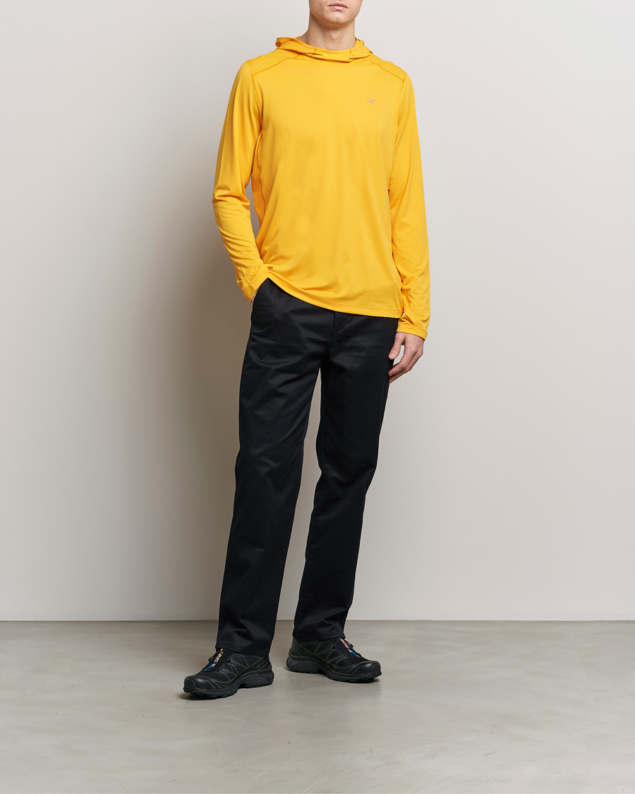 Homme | Pulls Et Tricots | Arc'teryx | Cormac Hoodie Edziza Heather