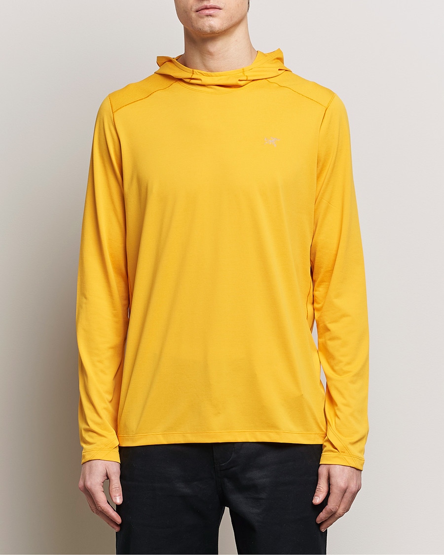 Homme | Pulls Et Tricots | Arc'teryx | Cormac Hoodie Edziza Heather