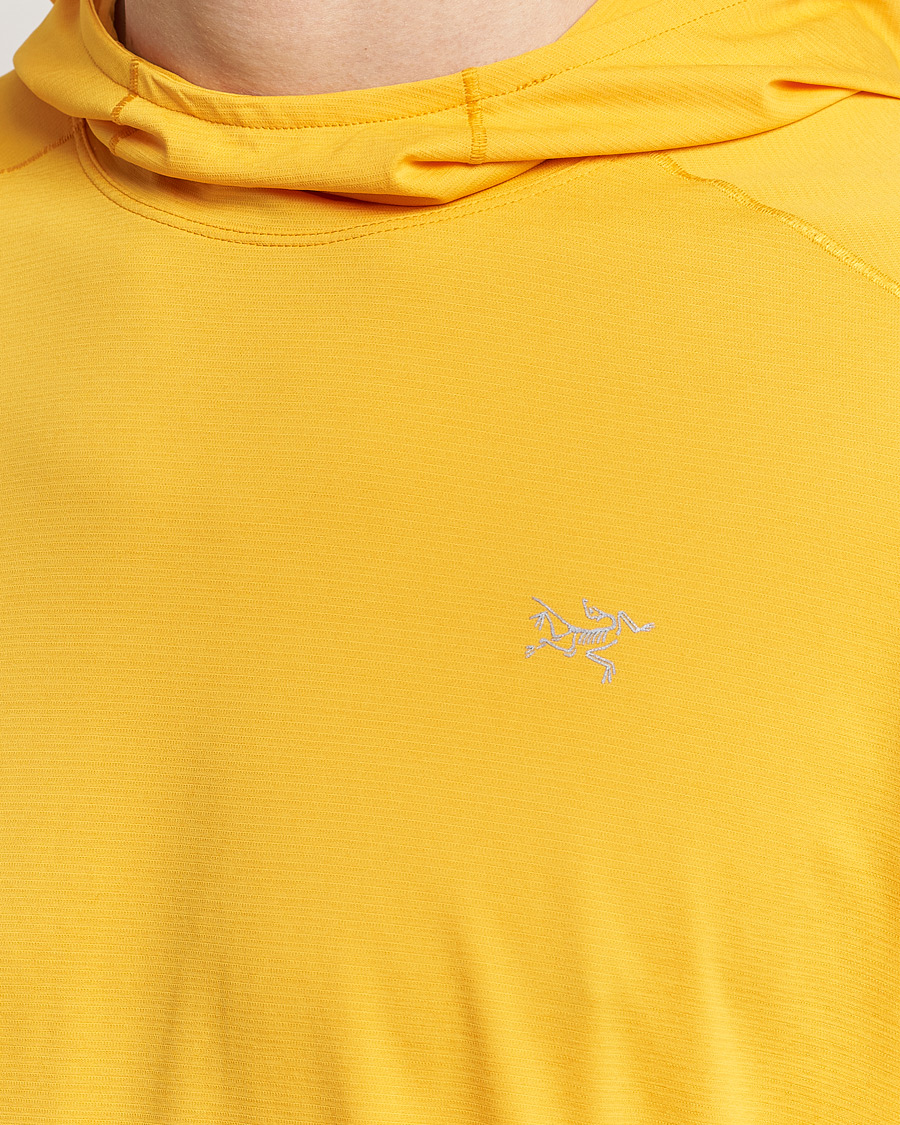 Homme | Pulls Et Tricots | Arc'teryx | Cormac Hoodie Edziza Heather