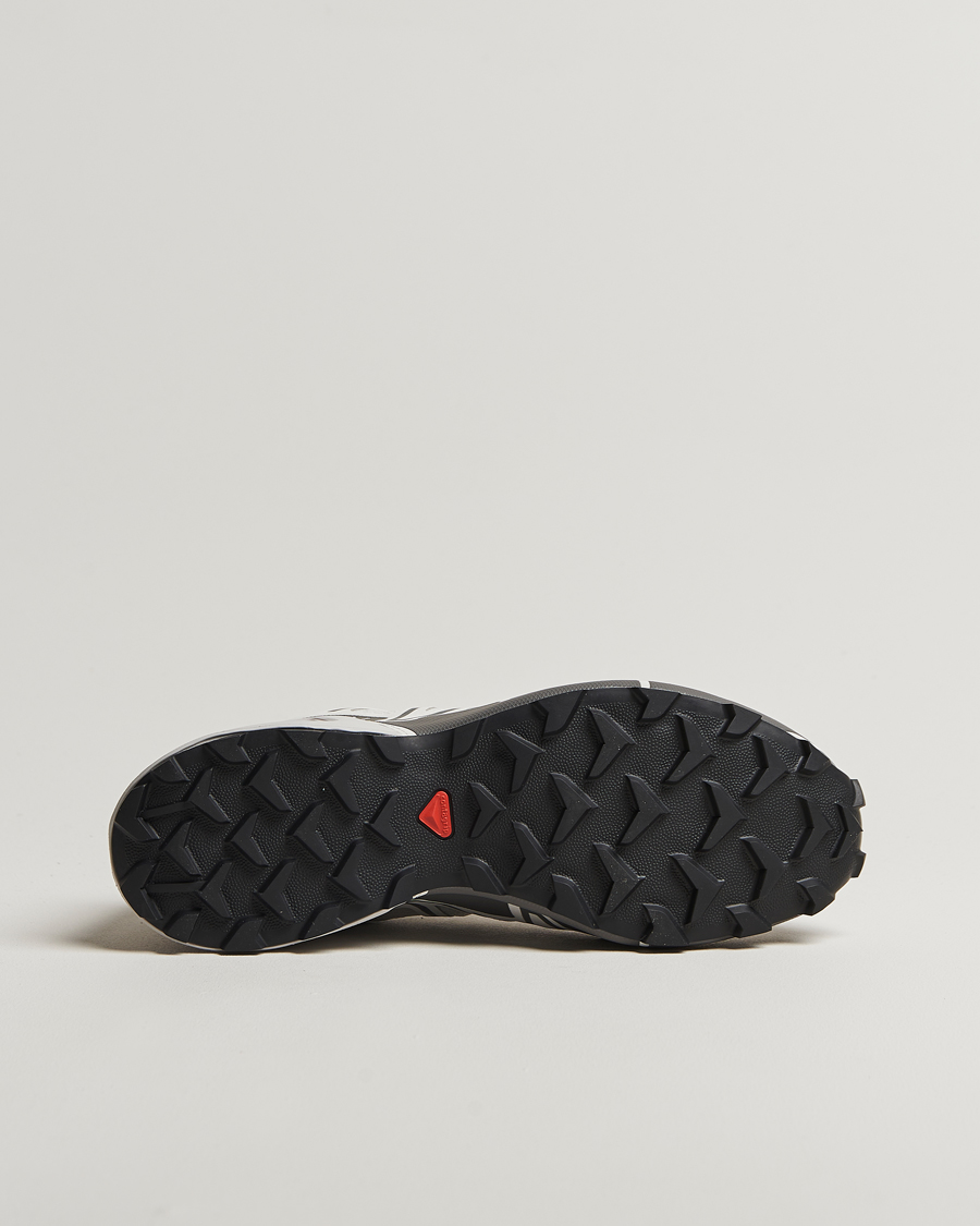 Homme | Baskets | Salomon | Speedcross 3 GTX Sneakers Lunar Rock