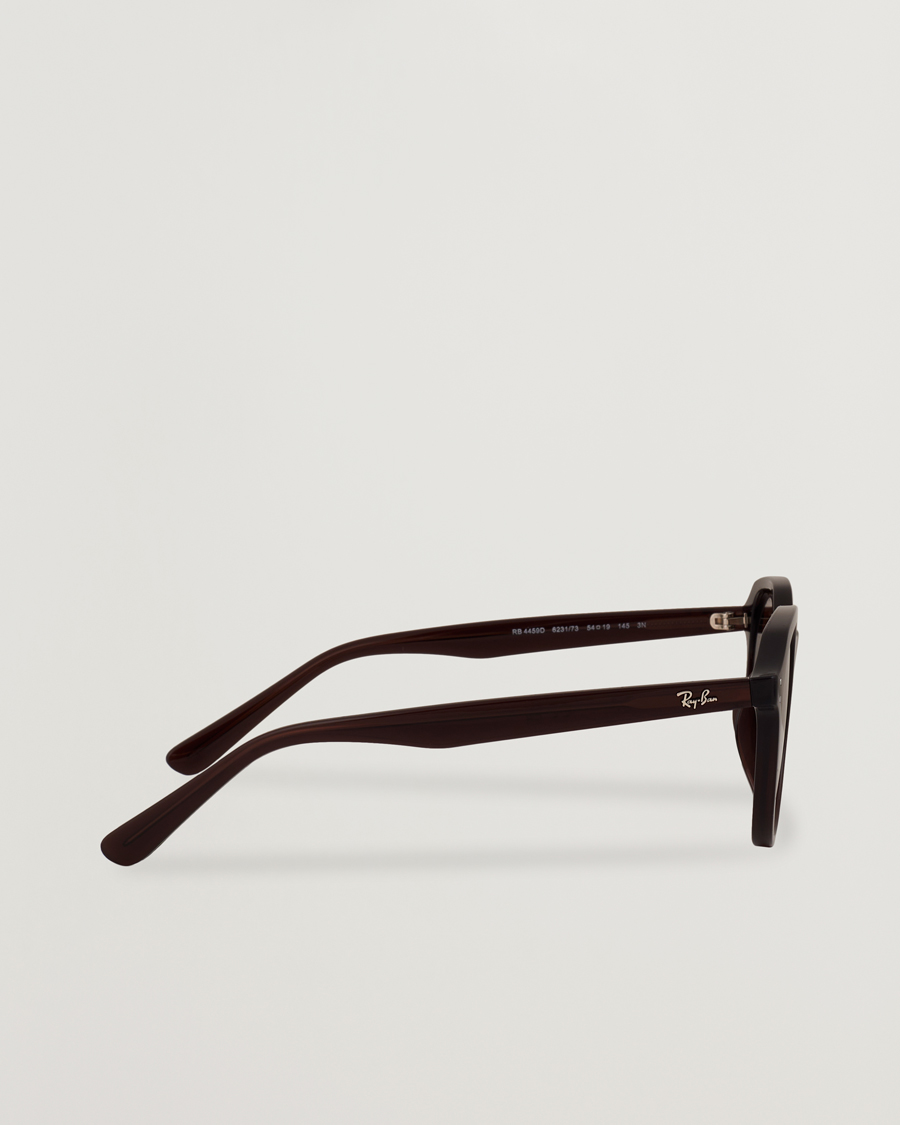 Homme | Lunettes De Soleil | Ray-Ban | 0RB4459D Sunglasses Opal Brown