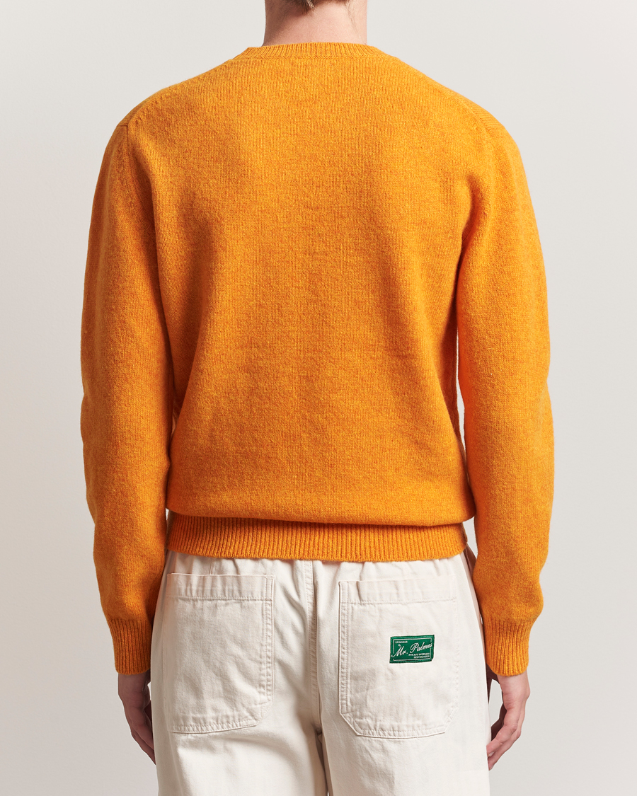 Homme | Pulls Et Tricots | Baracuta | Shetland Virgin Wool Crew Neck Orange