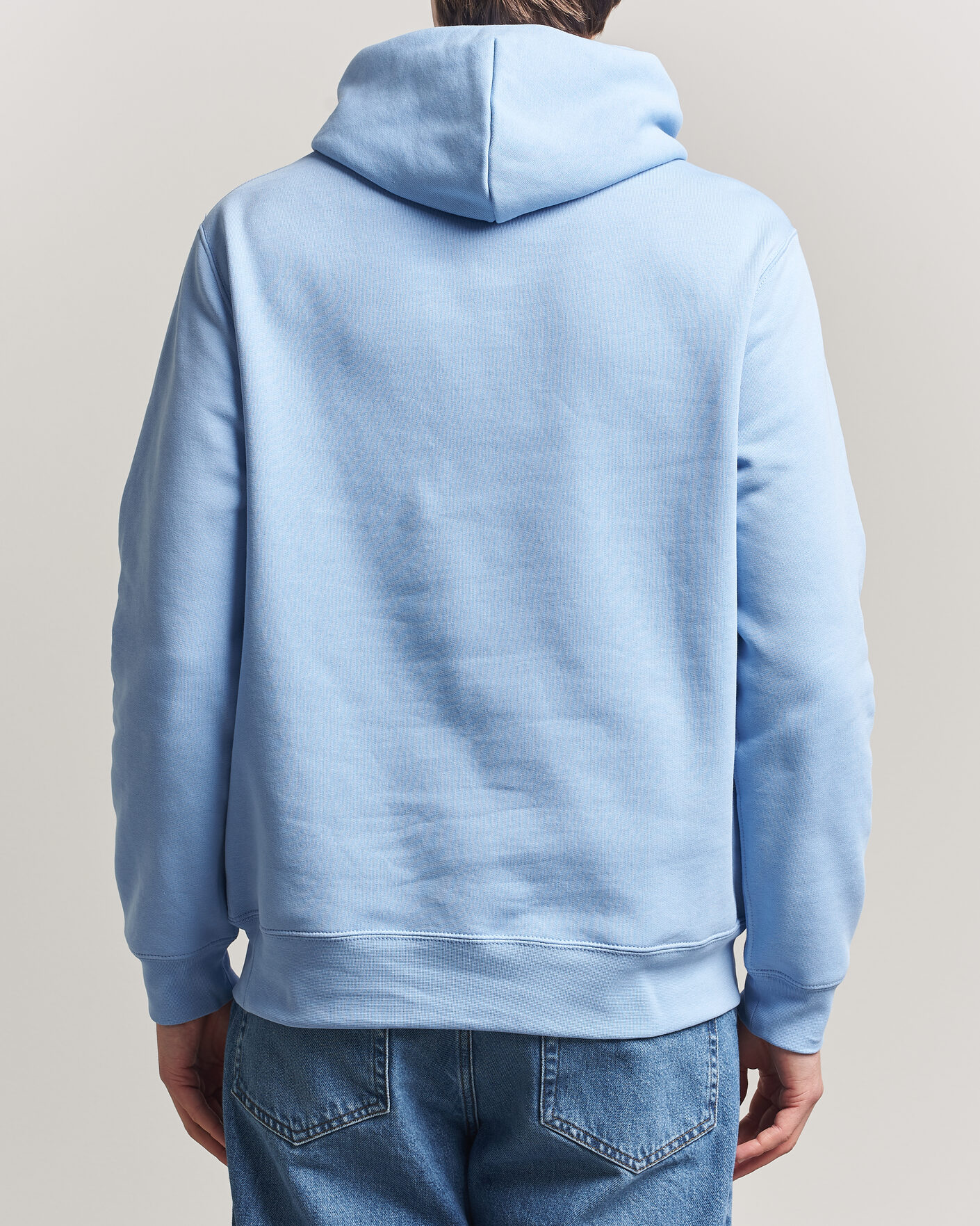 Heren | Truien | Polo Ralph Lauren | Fleece Bear Hoodie Austin Blue