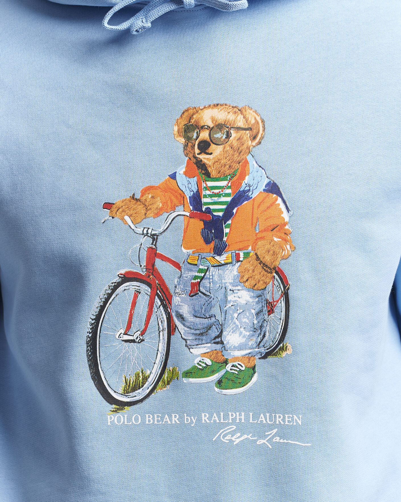 Heren | Truien | Polo Ralph Lauren | Fleece Bear Hoodie Austin Blue