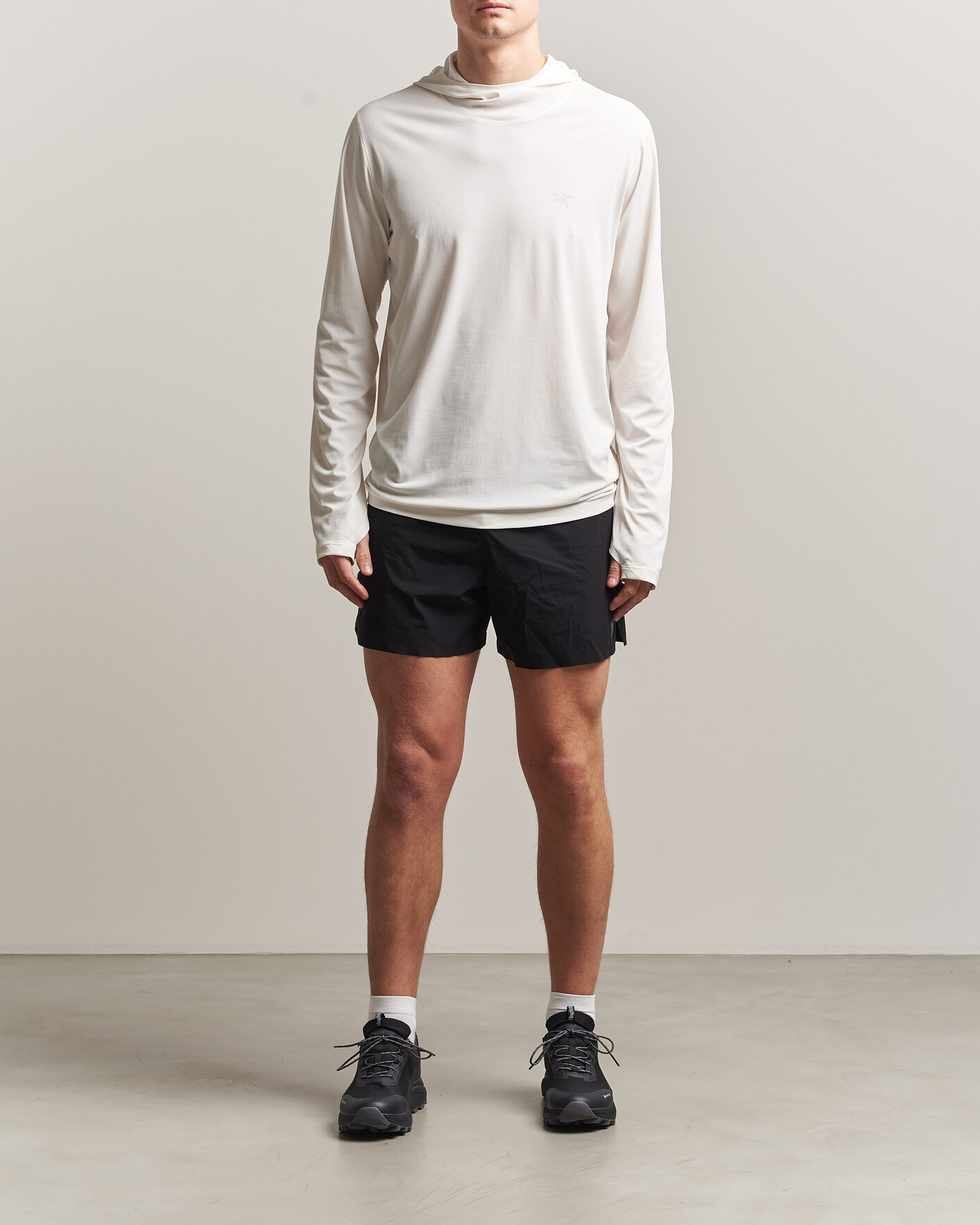 Heren | Truien | Arc'teryx | Cormac Hoodie Arctic Silk