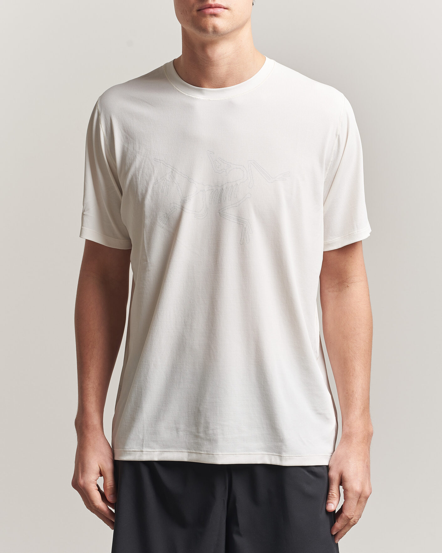 Heren | T-shirts | Arc'teryx | Cormac Bird Logo Crew Neck T-Shirt Arctic Silk