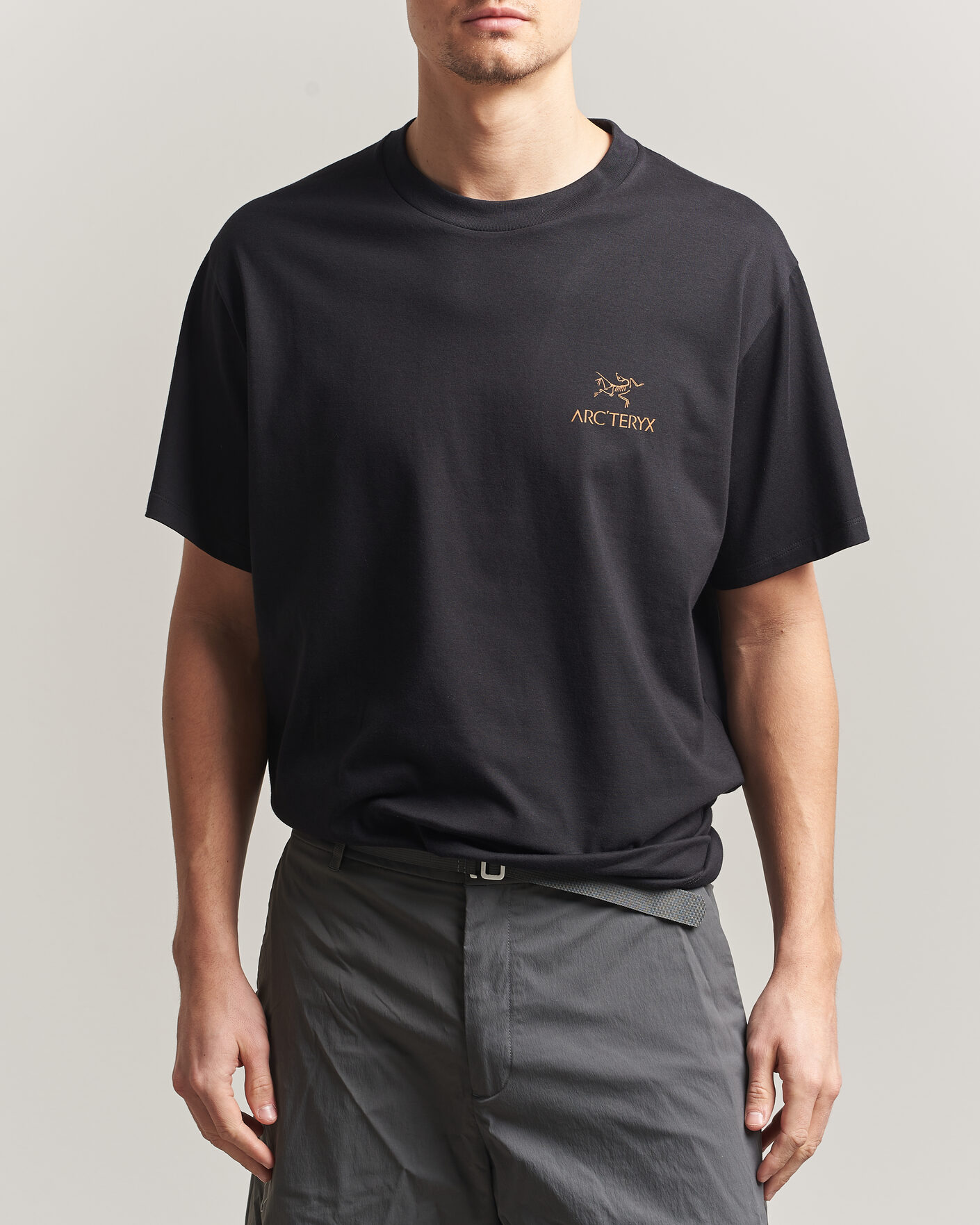 Heren | T-shirts | Arc'teryx | Kragg Cotton Bird Word T-Shirt Black