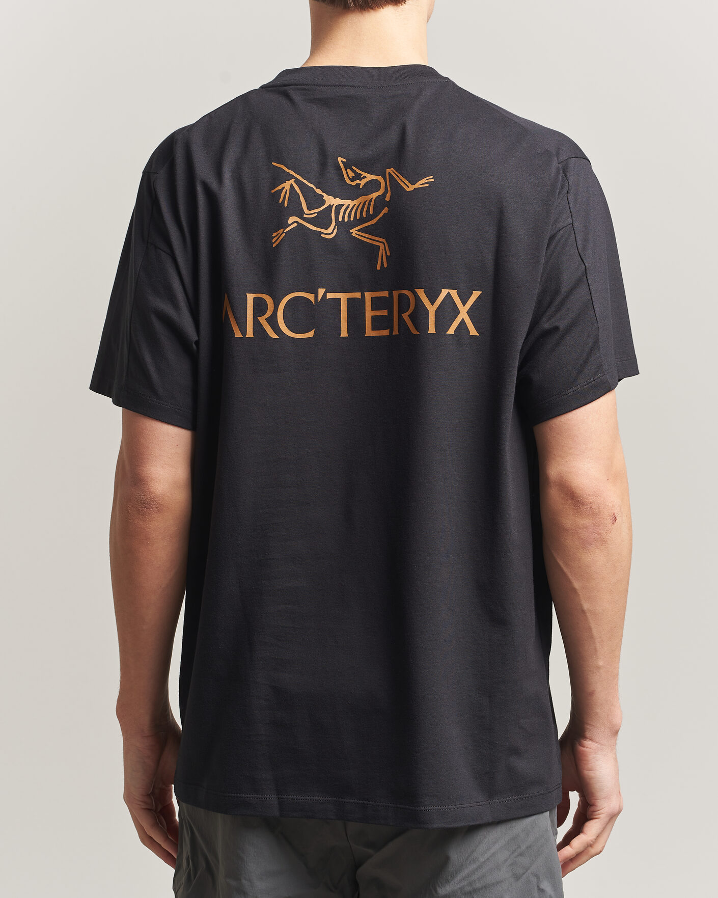 Heren | T-shirts | Arc'teryx | Kragg Cotton Bird Word T-Shirt Black