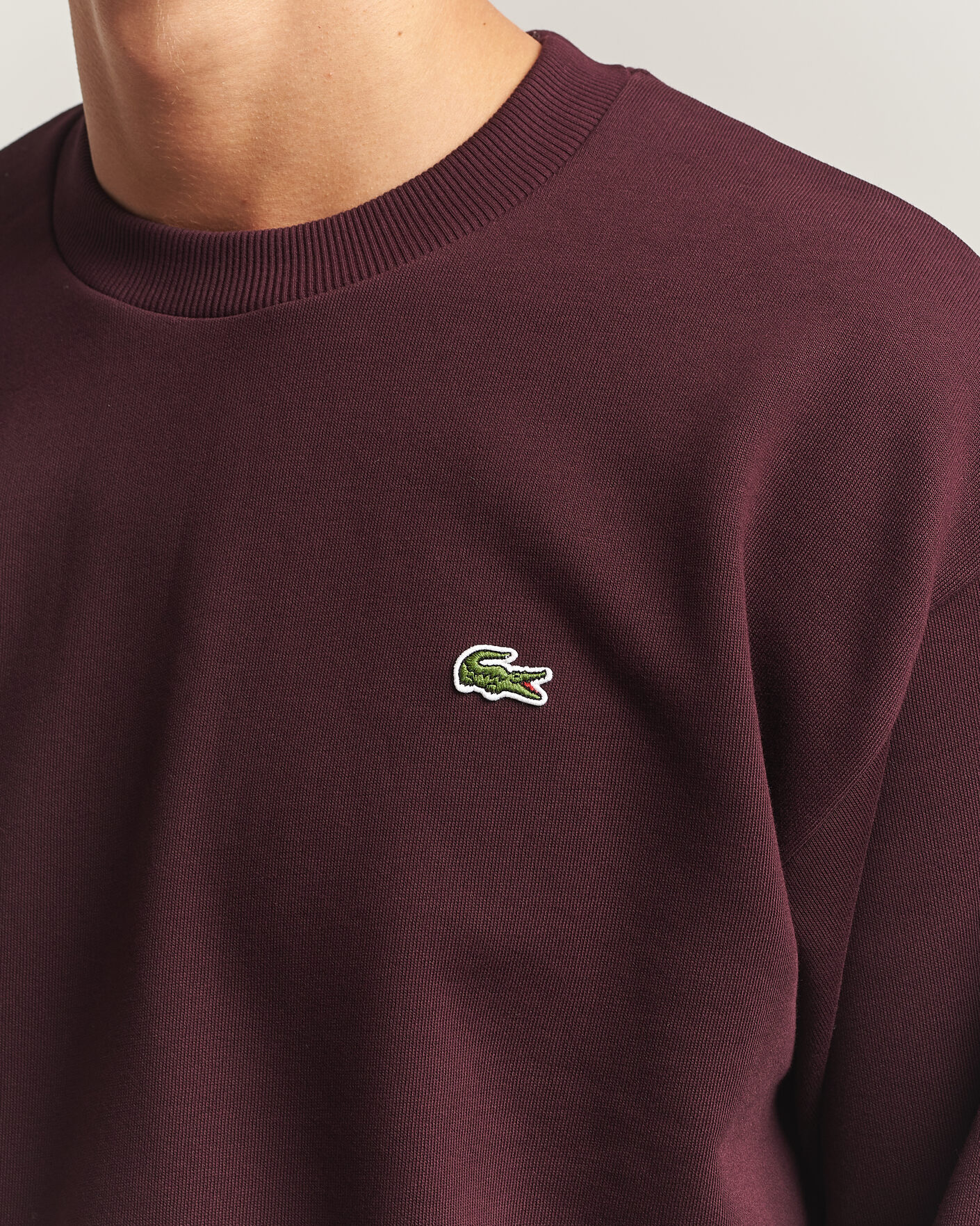 Homme | Pulls Et Tricots | Lacoste | Crew Neck Sweatshirt Oxalis