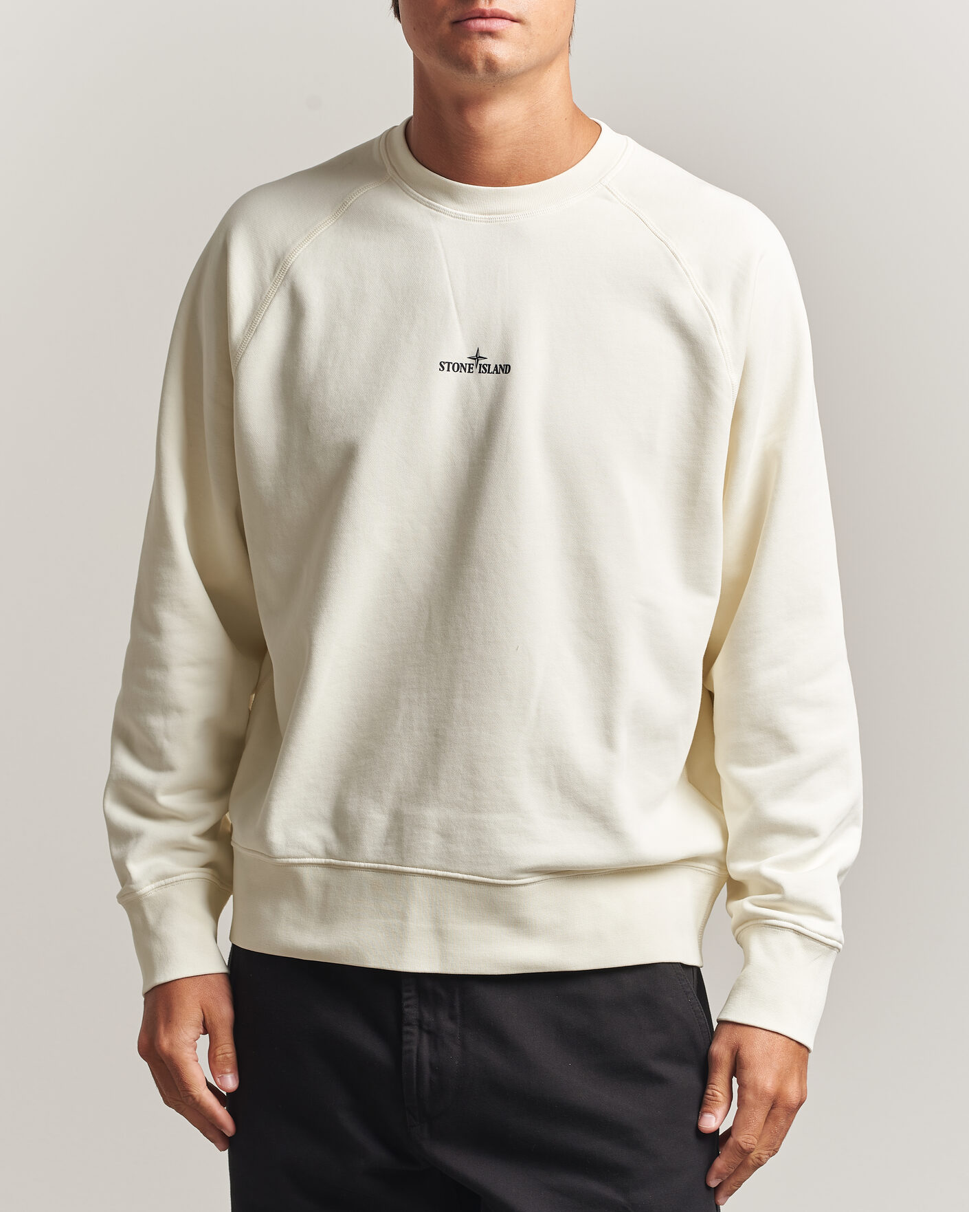 Homme | Pulls Et Tricots | Stone Island | Garment Dyed Fleece Desert Print Sweatshirt Ivory