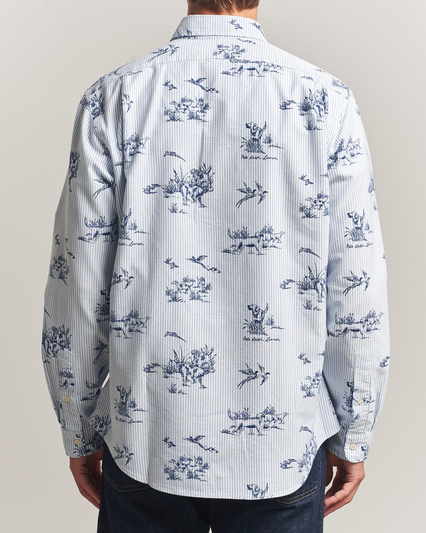 Homme | Chemises | Polo Ralph Lauren | Custom Fit Printed Oxford Shirt Field & Pheasant
