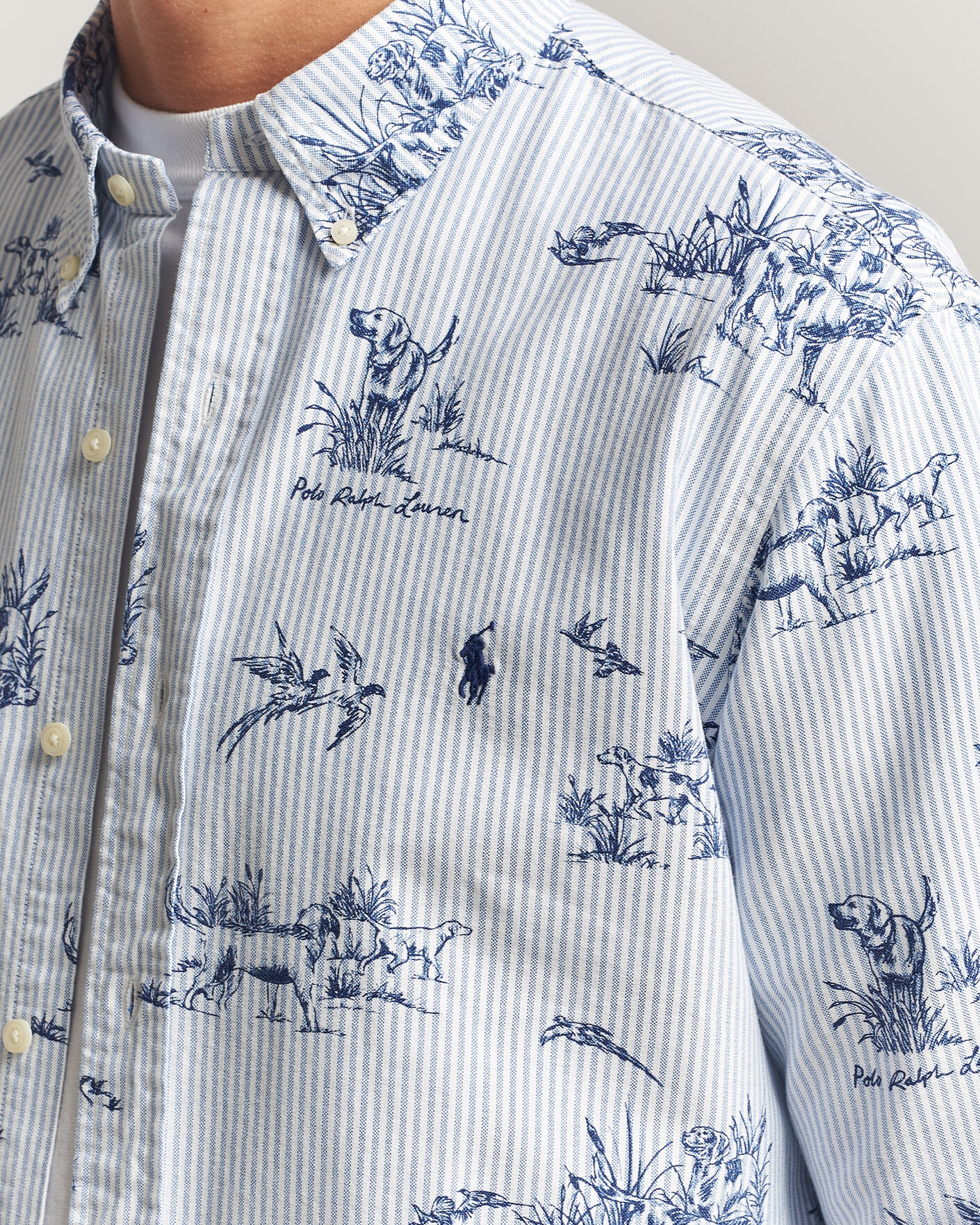 Homme | Chemises | Polo Ralph Lauren | Custom Fit Printed Oxford Shirt Field & Pheasant