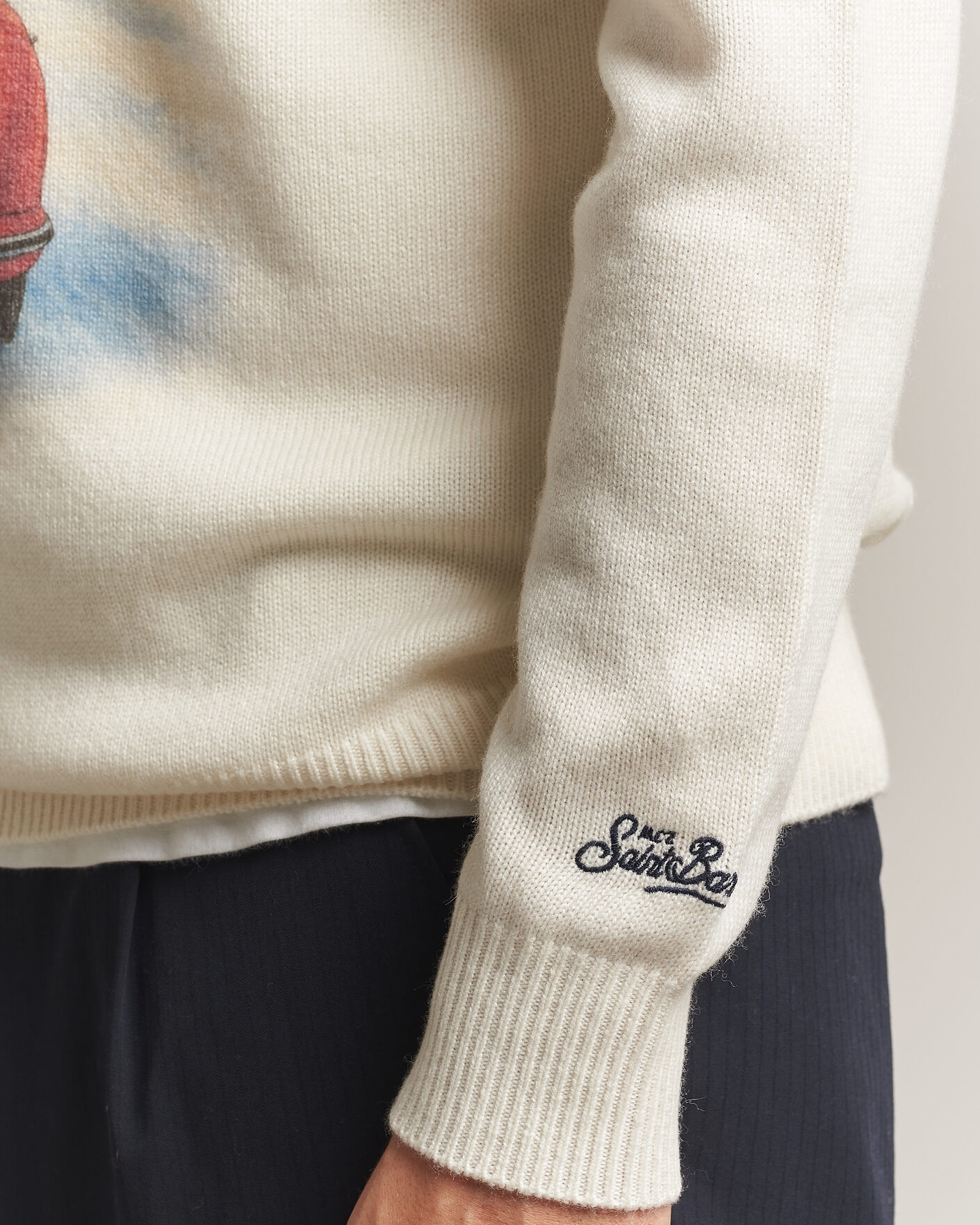 Homme | Pulls Et Tricots | MC2 Saint Barth | Heron Printed Sweater Cortina